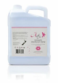 Asten Antiseptic Disinfectant Spray 1ltr